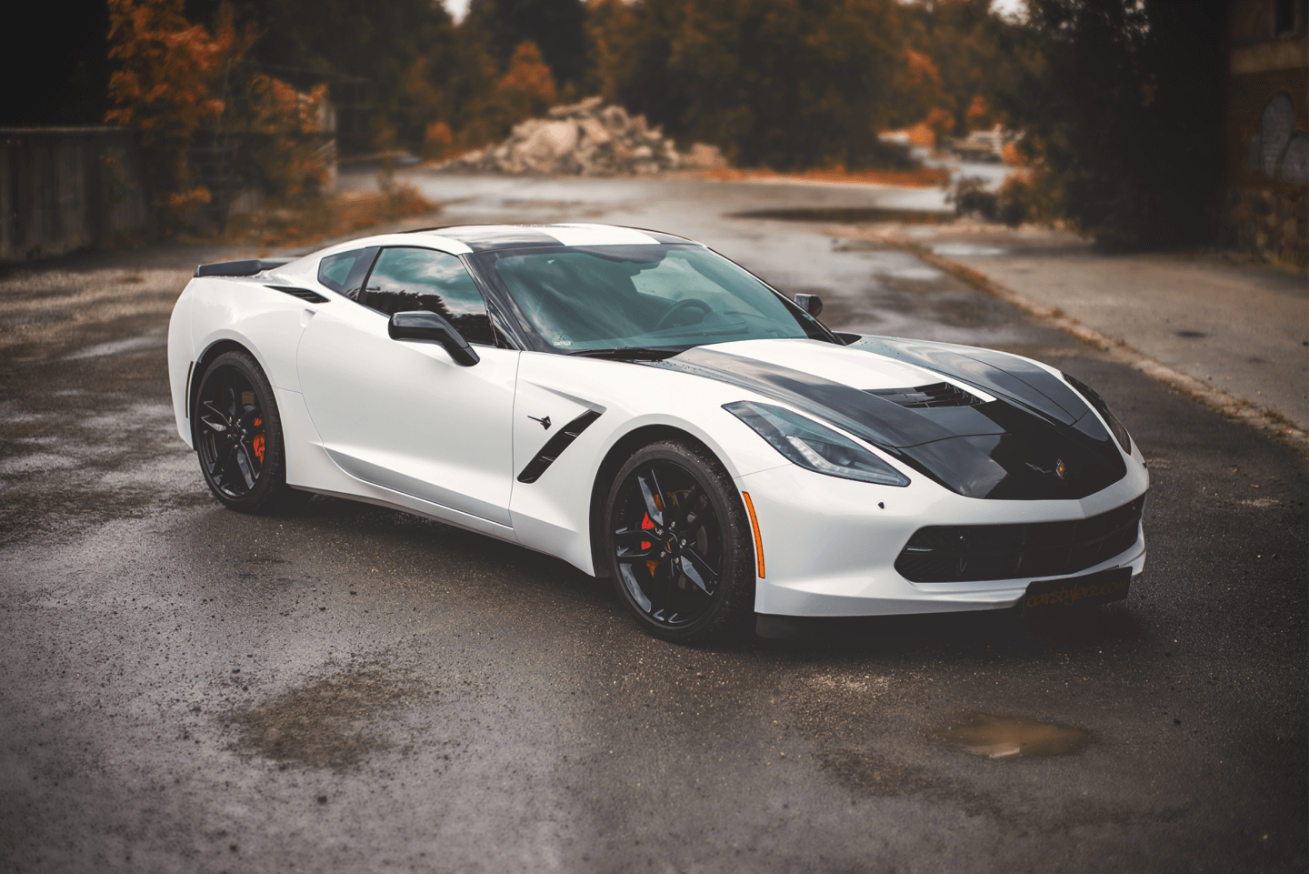 Fahrzeugfolierung Viper